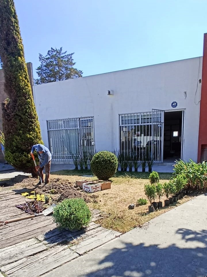 jardin mm
