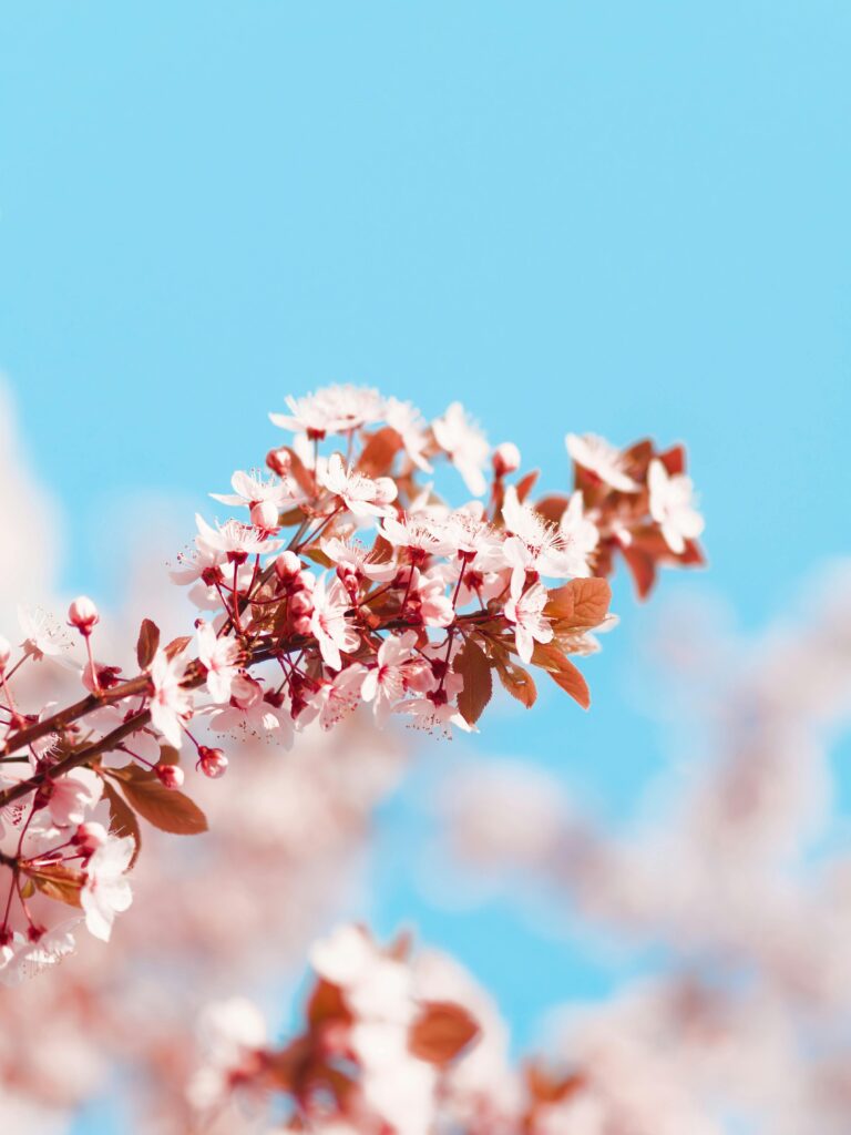 pexels-simon73-30814056