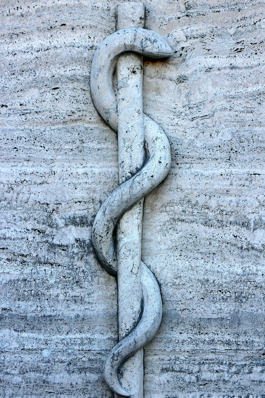 relief, symbol, rod, line, äskulapstab, asclepius staff, medicine, doctor, doctors, medicine, doctor, doctor, doctor, doctor, doctor